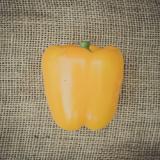 Paprika gelb, (Spanien)