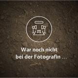 Eichblatt rot/grün