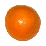 Orange Navelina