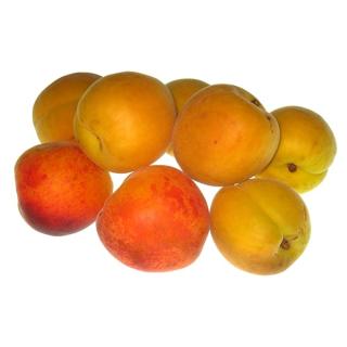 Aprikose