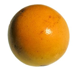 Grapefruit rot STAR RUBY