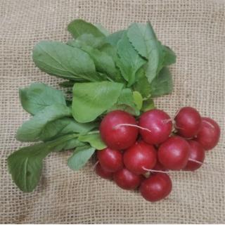 Radieschen (Italien)