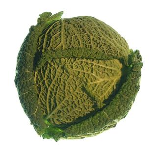 Wirsingkohl (Hof Allers)