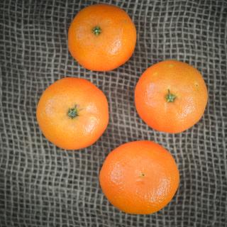 Clementine "Clemenrubi"