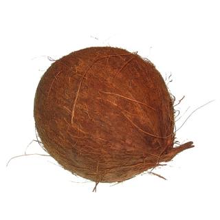 Kokosnuss