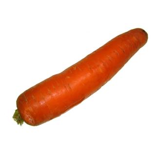 Frühmöhre (Italien)