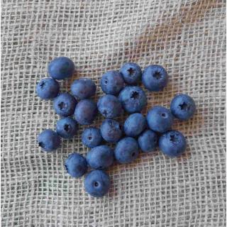 Heidelbeeren