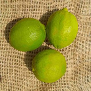 Limette