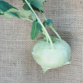 Kohlrabi (Frankreich)