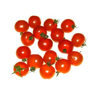 Cherrystrauchtomate