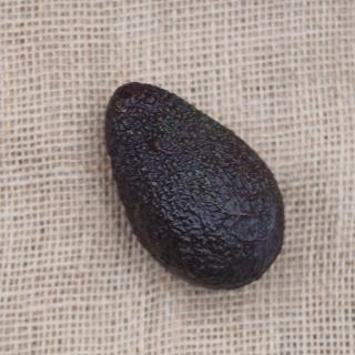 Avocado "Hass"