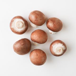 Steinchampignon