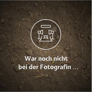 Stiel Pilzbürsten