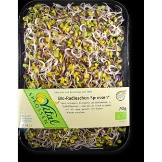 Sprossen Radieschen (70g)