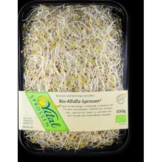 Sprossen Alfalfa (100g)