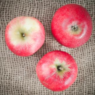 Apfel Discovery