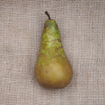 Birne Alexander Lukas