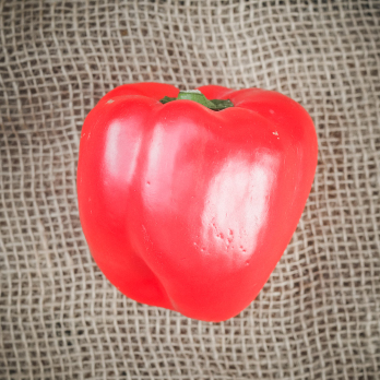 Paprika rot