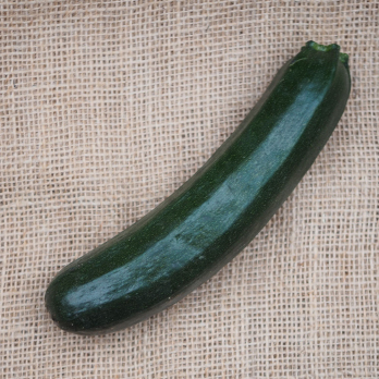 Zucchini grün