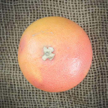 Grapefruit