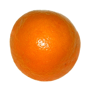 Orange Navelina