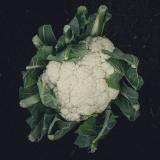 Blumenkohl