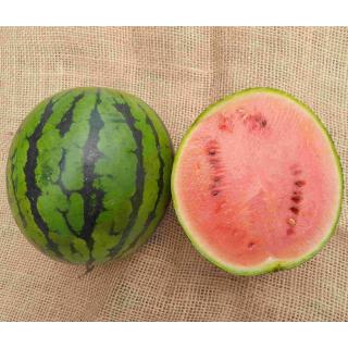 Wassermelone klein, kernarm