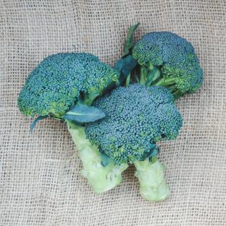 Brokkoli