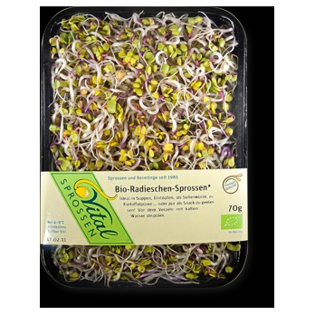 Sprossen Radieschen (70g)
